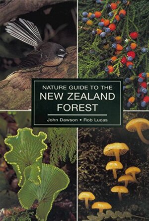 Nature Guide to the New Zealand Forest by Rob Lucas, John Dawson