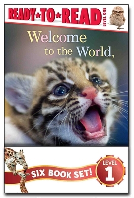 Zooborns Ready-To-Read Value Pack: Welcome to the World, Zooborns!; I Love You, Zooborns!; Hello, Mommy Zooborns!; Nighty Night, Zooborns!; Splish, Sp by Andrew Bleiman, Chris Eastland