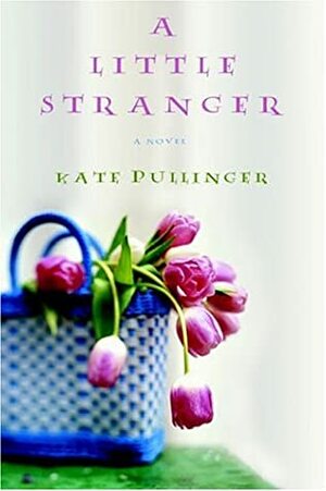 A Little Stranger by Kate Pullinger