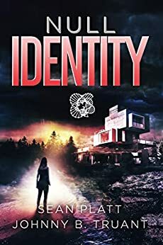 Null Identity by Sean Platt, Johnny B. Truant