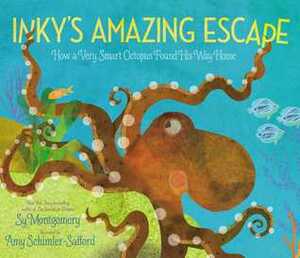 Inky's Amazing Escape: How a Very Smart Octopus Found His Way Home by Amy Schimler-Safford, Sy Montgomery