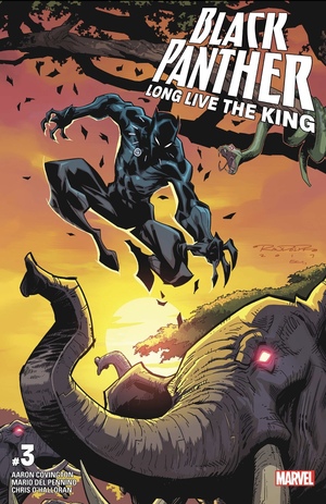 Black Panther: Long Live the King #3 by Aaron Covington