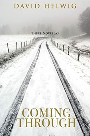 Coming Through: Three Novellas by David Helwig, Noah Richler