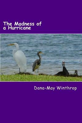 The Madness of a Hurricane by Dana-May Winthrop