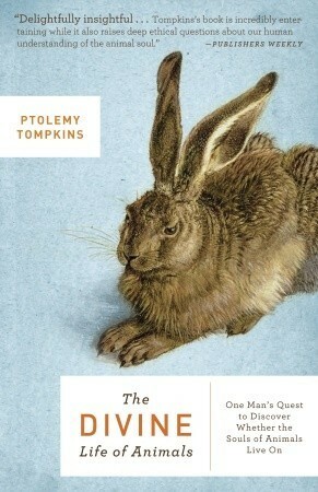 The Divine Life of Animals: One Man's Quest to Discover Whether the Souls of Animals Live On by Ptolemy Tompkins