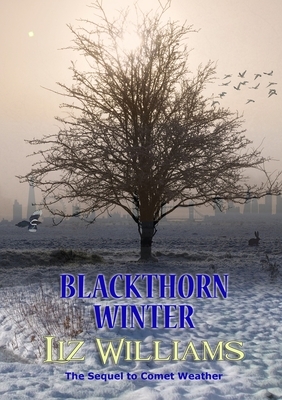 Blackthorn Winter by Liz Williams