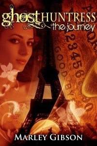 The Journey by Marley Gibson