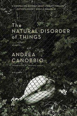 The Natural Disorder of Things by Andrea Canobbio