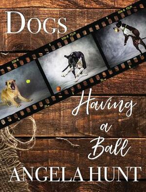 Dogs Having a Ball by Angela Hunt