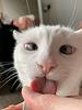 murdoch's profile picture