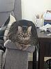 ashleyhayes211's profile picture