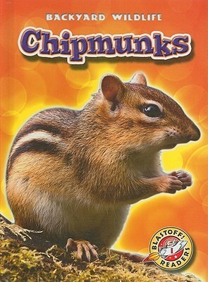 Chipmunks by Derek Zobel