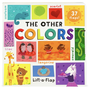 The Other Colors by Rosie Winget