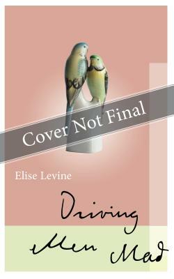 Driving Men Mad by Elise Levine