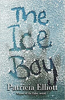 The Ice Boy by Patricia Elliott