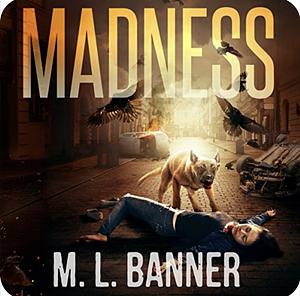 Madness by M.L. Banner