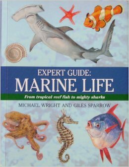 Expert Guide: Marine Life by Michael Wright, Giles Sparrow