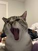 se_sommer's profile picture