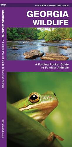 Georgia Wildlife: A Folding Pocket Guide to Familiar Species by James Kavanagh