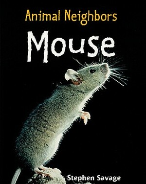 Mouse by Stephen Savage
