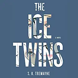 The Ice Twins by S.K. Tremayne