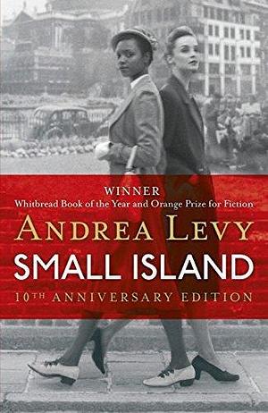 Small Island by Levy, Andrea (2014) Paperback by Andrea Levy, Andrea Levy