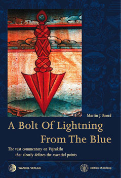 A Bolt of Lightning from the Blue by Martin J. Boord