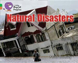 Natural Disasters by Adrian Bradbury