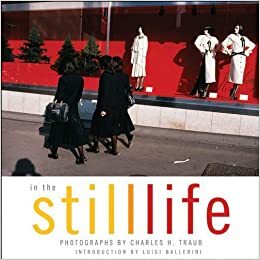 In the Still Life by Luigi Ballerini, Charles Traub