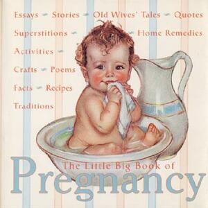 The Little Big Book of Pregnancy by 