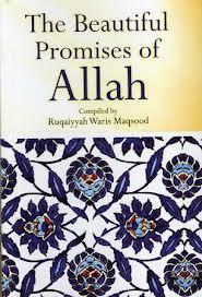 The Beautiful Promises of Allah by Ruqaiyyah Waris Maqsood