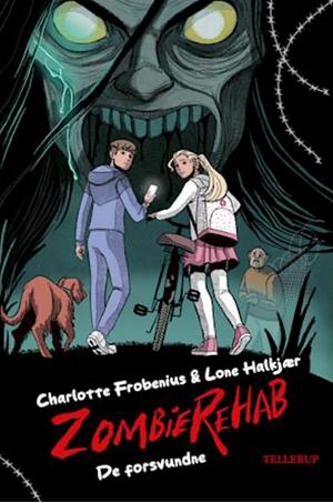 De forsvundne by Lone Halkjær, Charlotte Frobenius