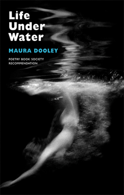 Life Under Water by Maura Dooley