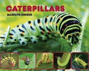 Caterpillars by Marilyn Singer