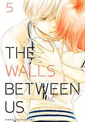 The Walls Between Us, Vol. 5 by Haru Tsukishima