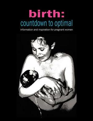 Birth: Countdown to Optimal - Inspiration and Information for Pregnant Women by Sylvie Donna