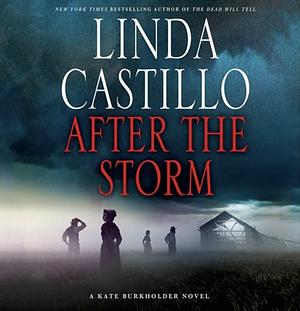 After the Storm by Linda Castillo