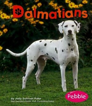 Dalmatians by Jody Sullivan Rake