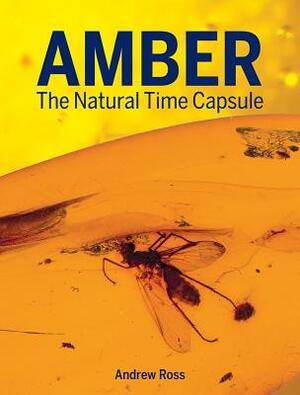 Amber: The Natural Time Capsule by Andrew Ross