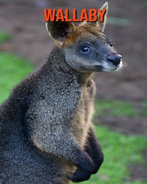 Wallaby: Learn About Wallaby and Enjoy Colorful Pictures by Matilda Leo