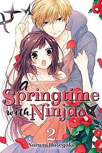 A Springtime with Ninjas, Vol. 2 by Narumi Hasegaki