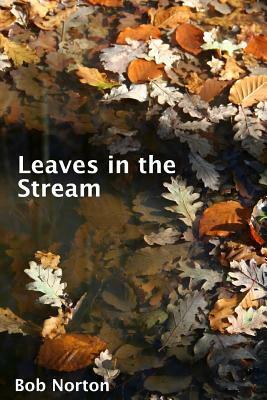 Leaves in the Stream by Bob Norton