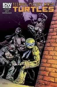 Teenage Mutant Ninja Turtles #33 by Kevin Eastman, Tom Waltz
