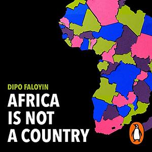 Africa Is Not A Country: Breaking Stereotypes of Modern Africa by Dipo Faloyin