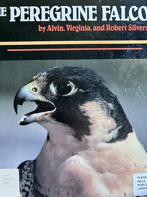 The Peregrine Falcon  by Virginia Silverstein, Robert Silverstein, Alvin Silverstein