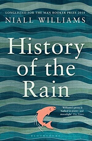 History of the Rain by Niall Williams