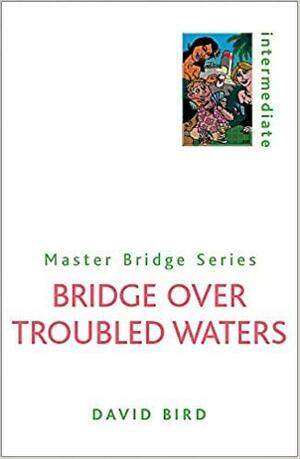 Bridge Over Troubled Waters by David Bird