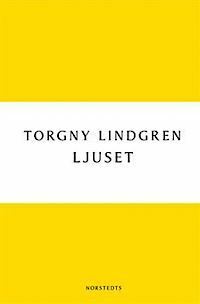 Ljuset by Torgny Lindgren