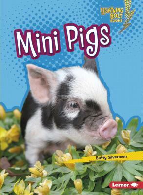 Mini Pigs by Buffy Silverman