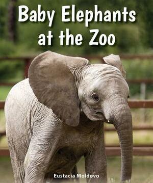 Baby Elephants at the Zoo by Eustacia Moldovo